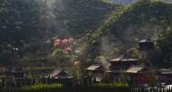 河南旅游文化：青龍山慈云寺第四屆桃花祈福文化節(jié)即將盛大開幕！